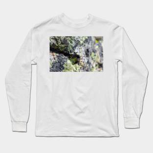 Mossy Stones Long Sleeve T-Shirt